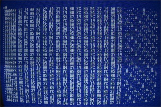 wildcrash_memory2.jpg wildcrash_memory2.jpg